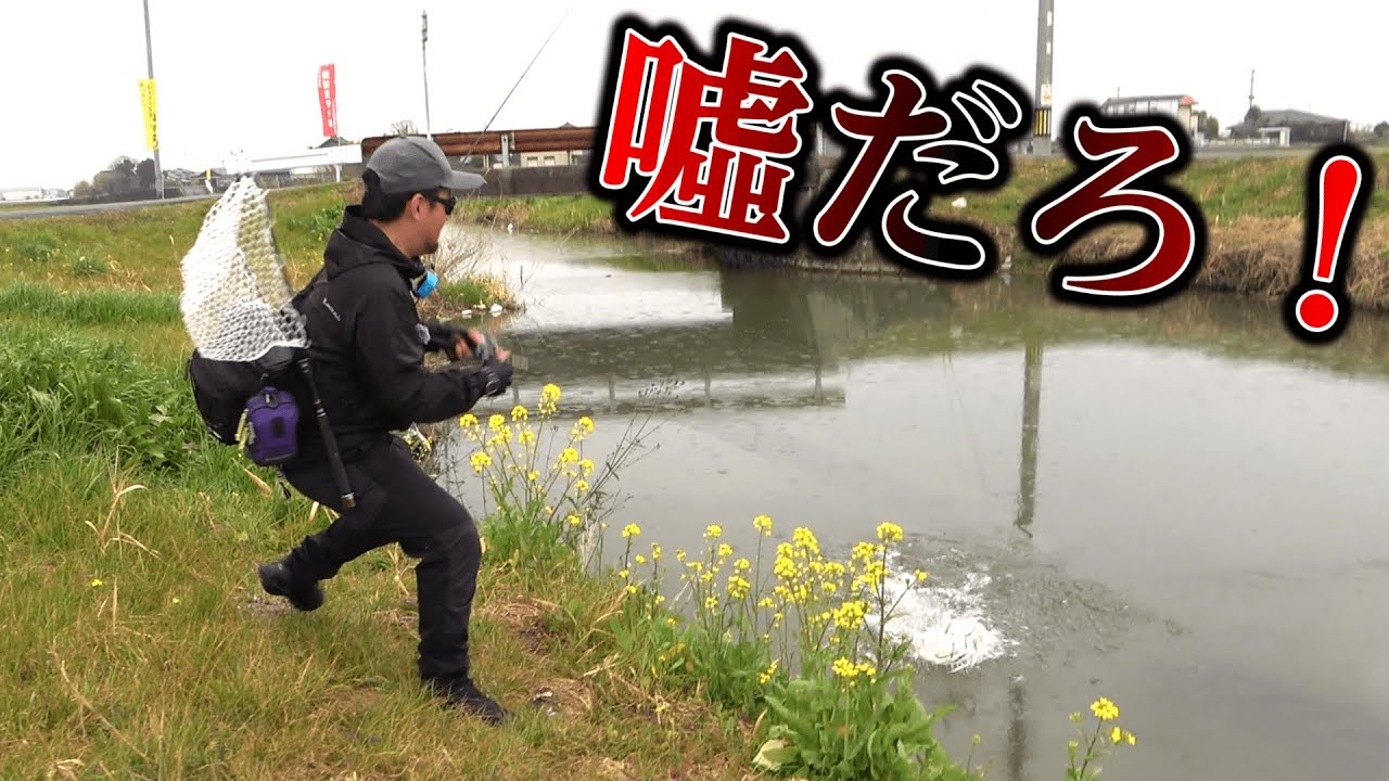 気を抜いた瞬間・・・足元で衝撃の光景が！？九州随一の人気フィールド【柳川クリーク】で早春のバスフィッシング！！