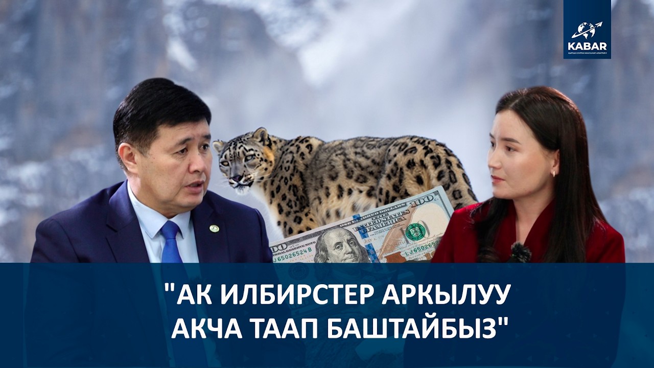 АК ИЛБИРСТИН АЙЫЛГА ТҮШҮШҮНҮН СЕБЕБИ ЭМНЕДЕ?
