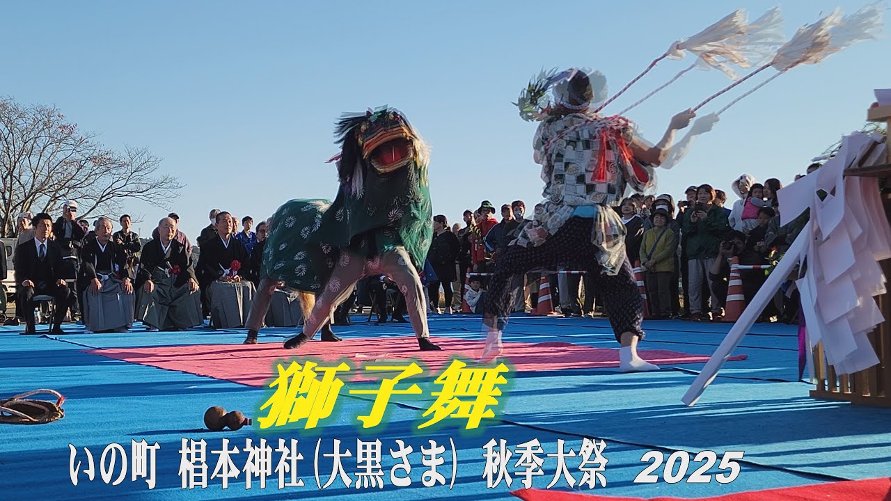 Shishimai, Sugimoto Shrine Autumn Festival 2025,  御旅所で【獅子舞】・椙本神社（大黒さま）秋季大祭　(4k)　 高知県いの町