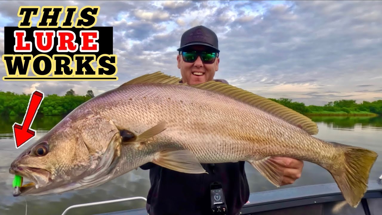 CRAZY River Fishing for JEWFISH !! Trying Something New