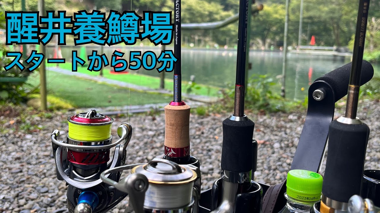【管釣り】秋の平日の醒井養鱒場【エリアトラウト】