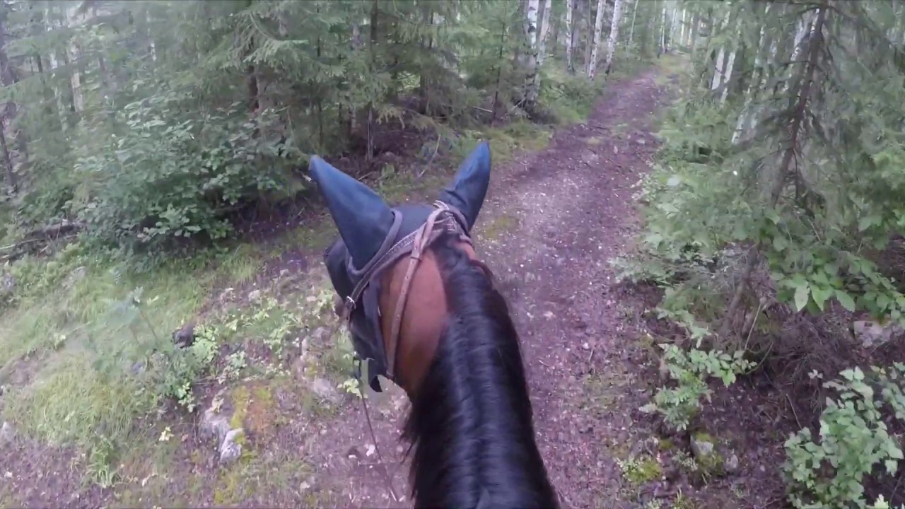 Trailride