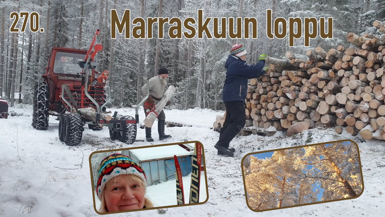 КОНЕЦ НОЯБРЯ: РАБОТА И КАТАНИЕ НА ЛЫЖАХ @korpitalo #самообеспечение #дрова #беговые лыжи #куусамо
