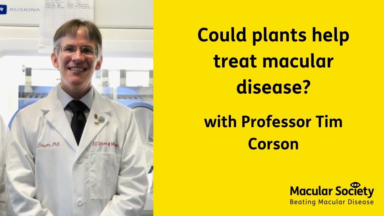 Could plants help treat macular disease