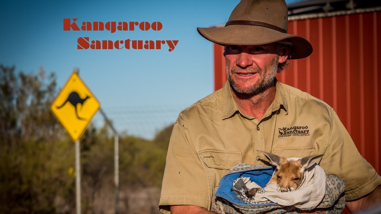 Kangaroo Sanctuary