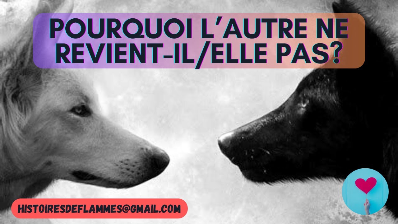 FJ :🐕‍🦺Pourquoi l'Autre ne revient-il/elle pas?🐺 #flammesjumelles #amesoeur #jumeauperdu