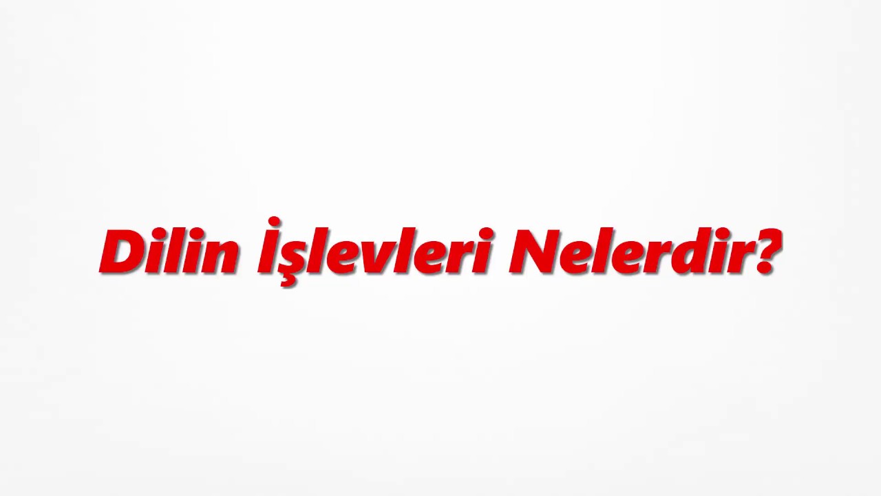 Dilin İşlevleri