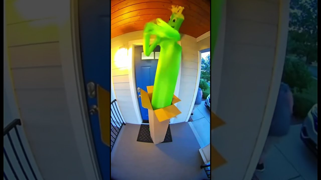 2026 Best Porch Pirate Revenge (All Clips)