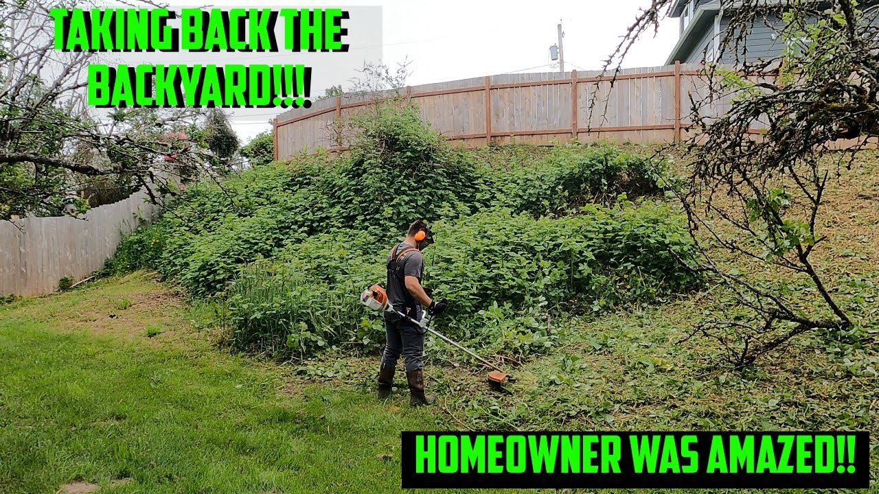 TRANSFORMING Homeowners OVERGROWN Backyard! Blackberry Mulching| Stihl FS 240 Brush Cutter #Stihl