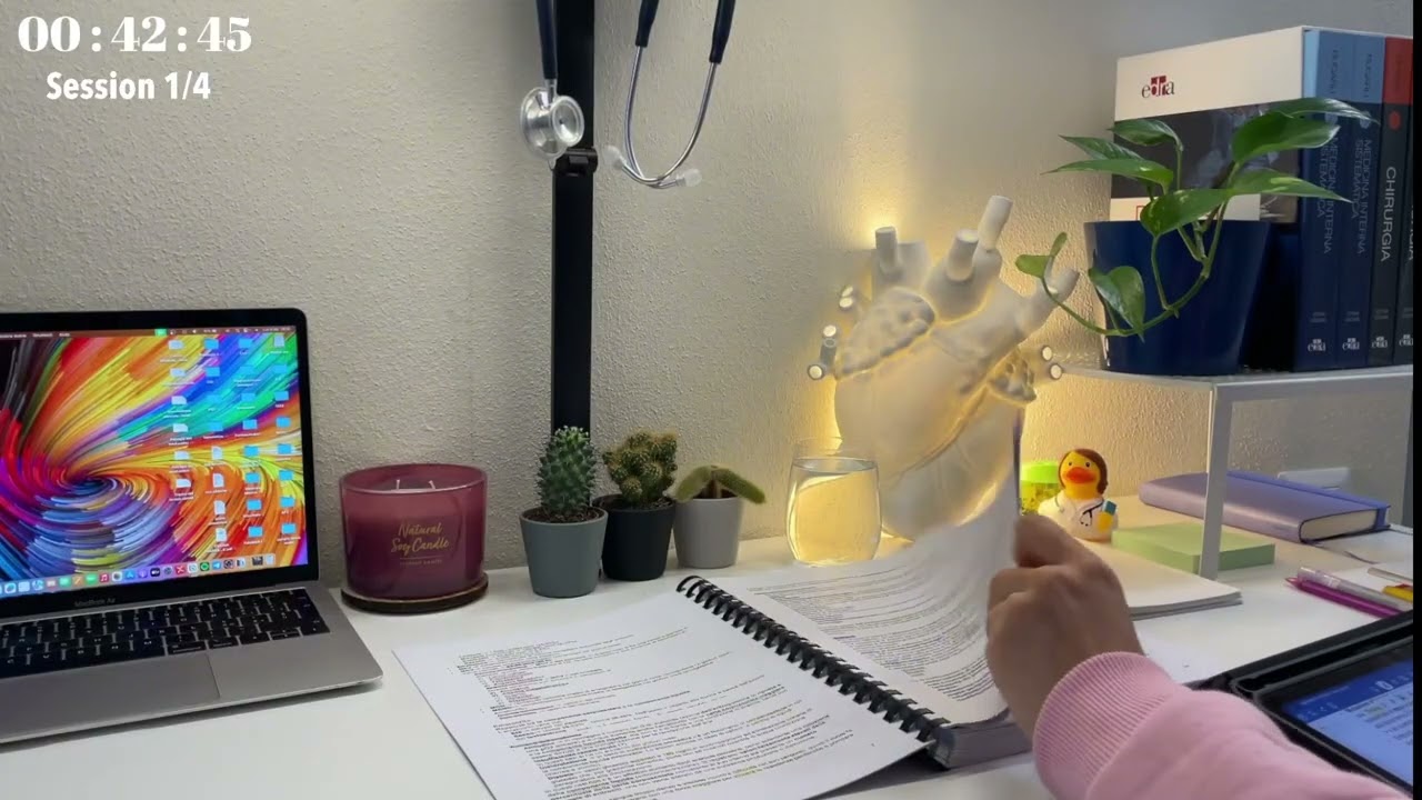 4H DEEP FOCUS | 4 pomodoro session | NO music