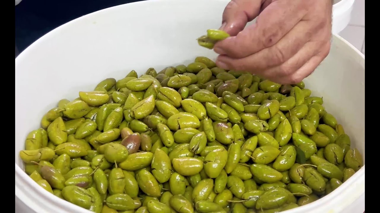 Como hacer Aceitunas aliñadas en Salmuera. Contiene probióticos