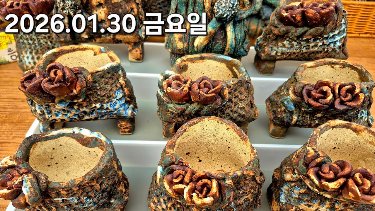 고양 구름다육 라이브 방송