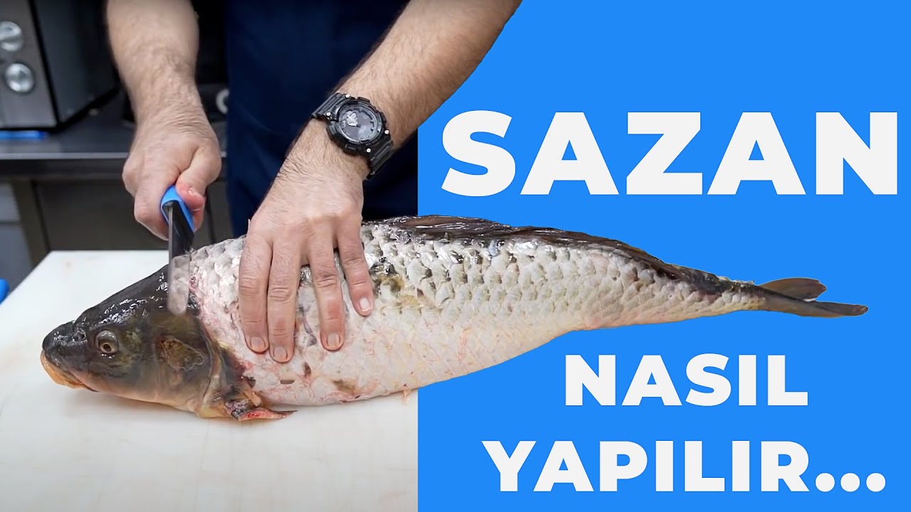 SAZAN NASIL TEMİZLENİR VE PİŞİRİLİR HOW TO CLEAN AND COOK CARP (BALIK TEMİZLEME)