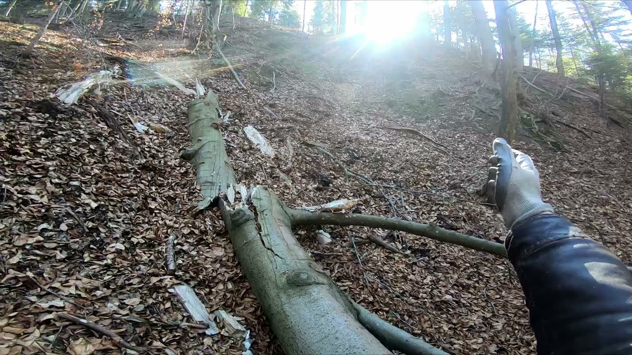 Kto zajeb.. moje drzewo?  Pitgang 140xd spokojny przejazd