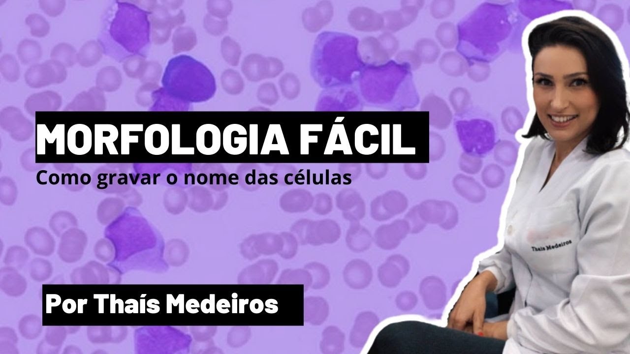 Como Identificar as Células Hematológicas de Forma Fácil - Biomedicina por Thaís Medeiros