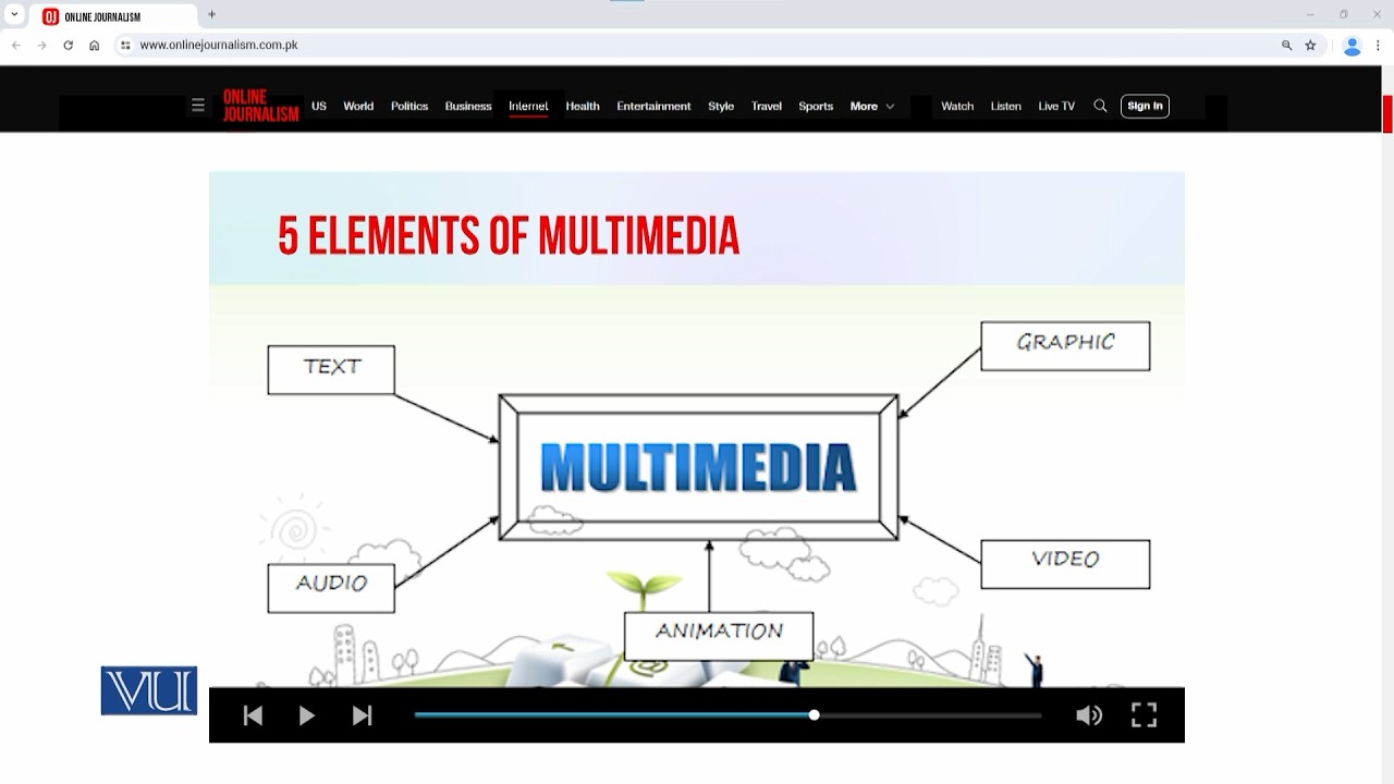 5 Elements of Multimedia: Media Management in Online Journalism | MCM517_Topic113