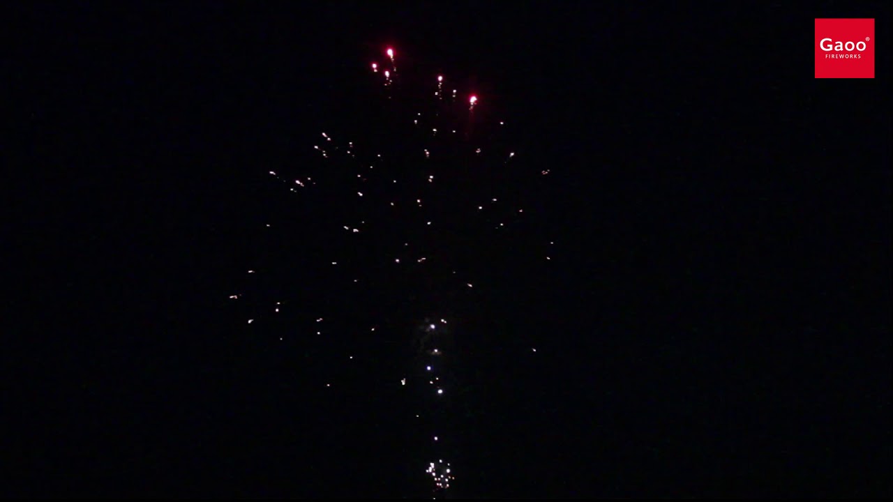 Gaoo - PYROFORUM 2019