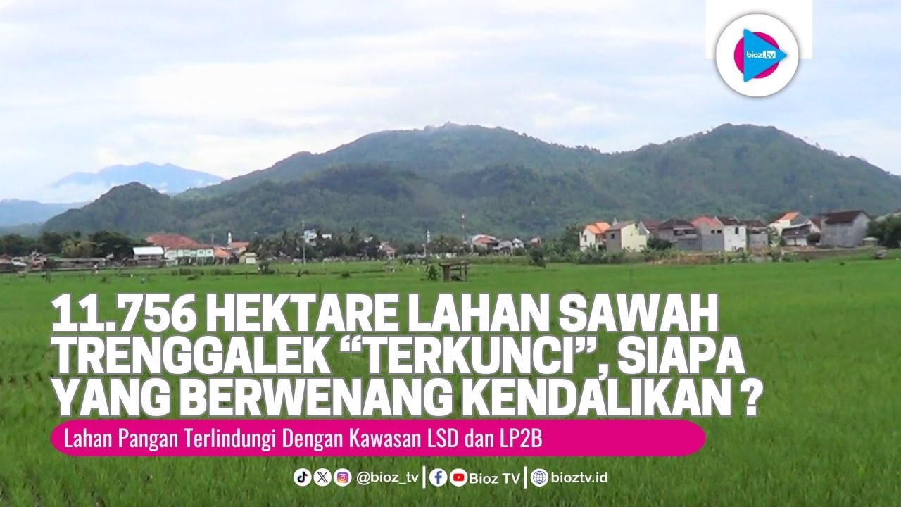 11 756 Hektare Lahan Sawah Trenggalek “Terkunci”, Siapa yang Berwenang Kendalikan Alih Fungsi?