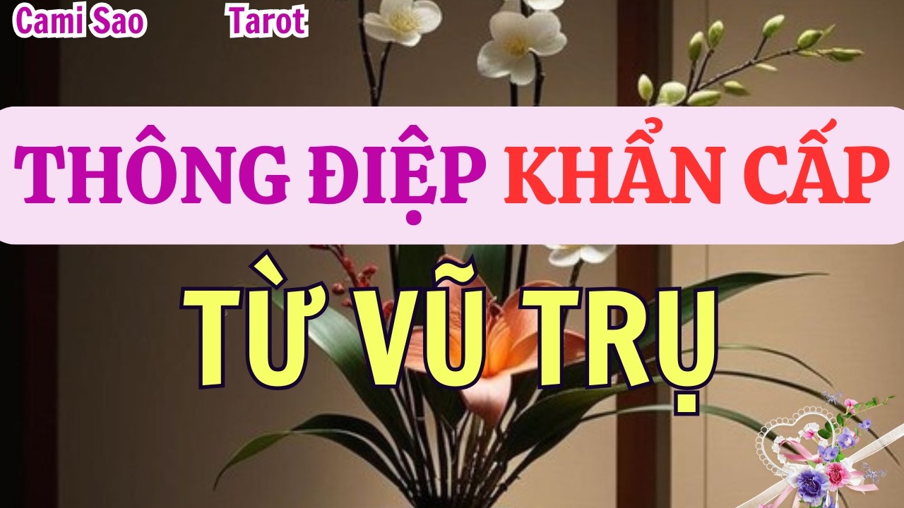Tarot | Thông điệp khẩn cấp từ vũ trụ dành cho bạn ngay lúc này