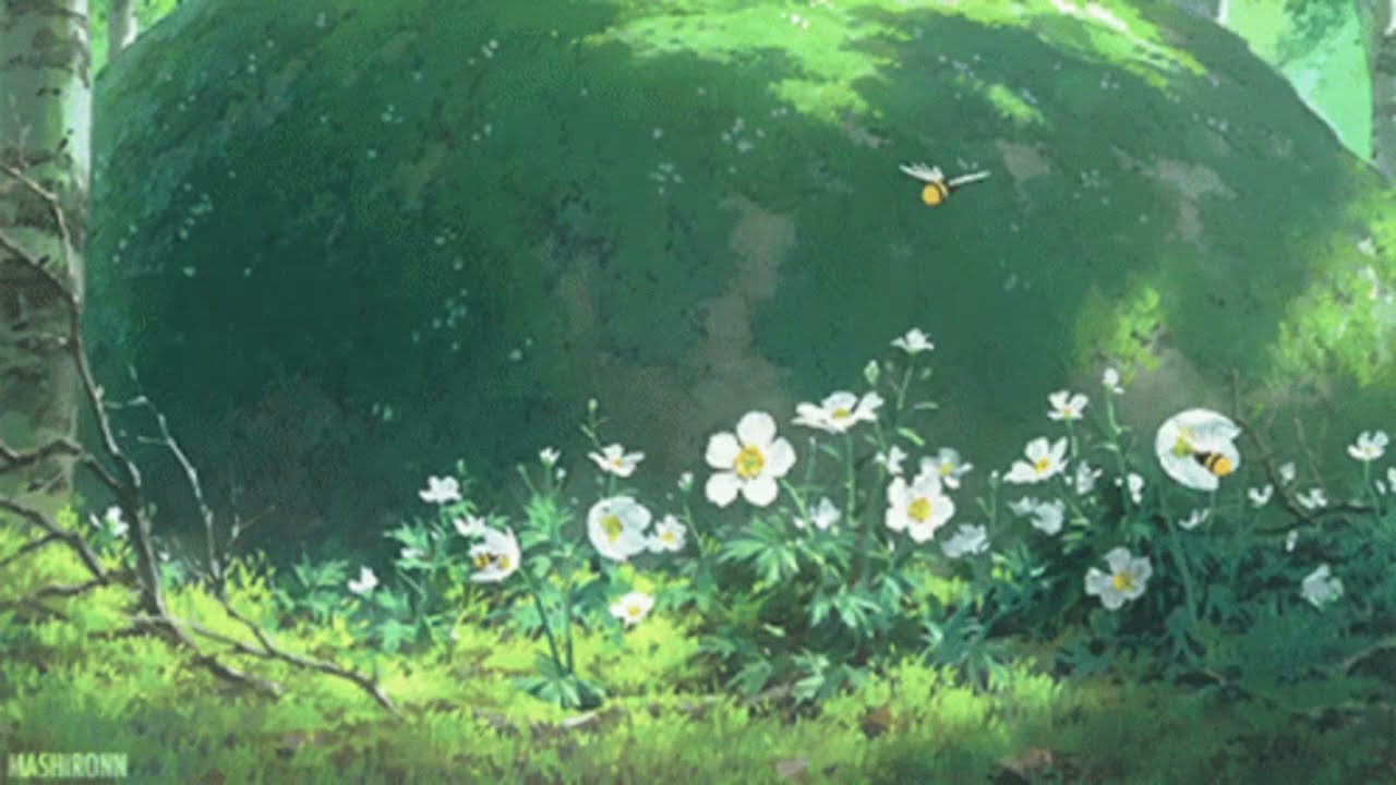 p a r a m o r e - h a r d t i m e s ( s l o w e d + r e v e r b )
