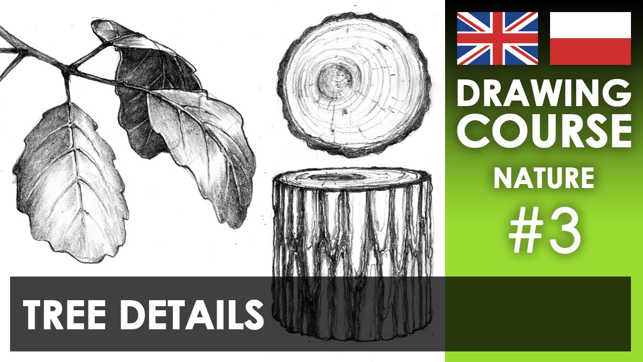 Drawing tutorial - Details of trees | Kurs rysunku - Detale drzew [S02E03 ENG/PL]