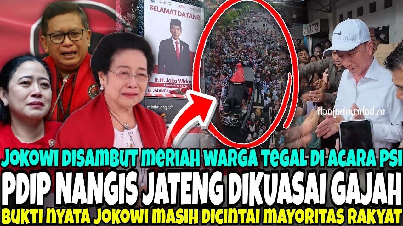 VIRAL.. MEGAWATI NYESAL PDIP PECAT JOKOWI GIBRAN - TEGAL SUDAH DIPENUHI DENGAN KAKI GAJAH PSI
