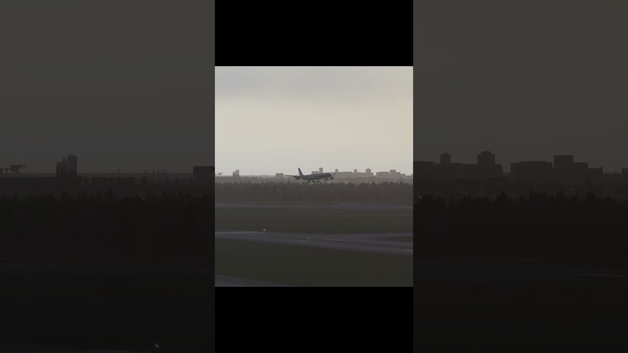 Airbus A346 посадка Шереметьево #shorts #рек #a340 #landing