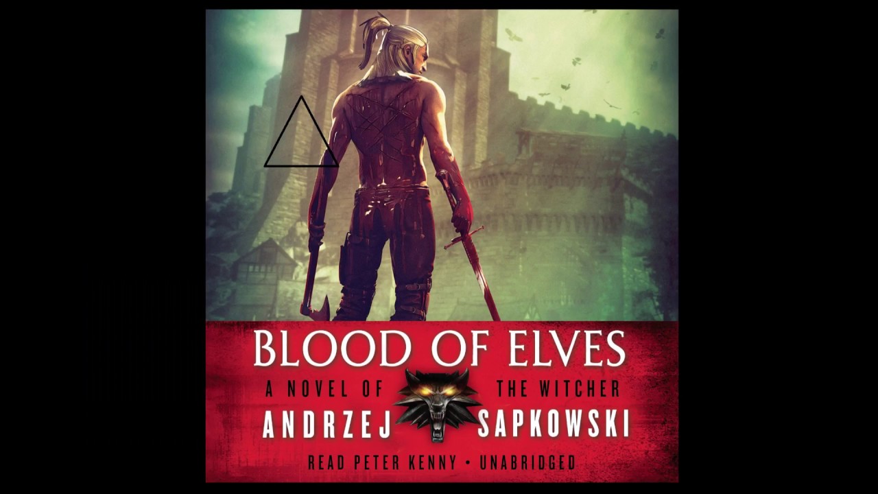 the witcher blood of elves Review