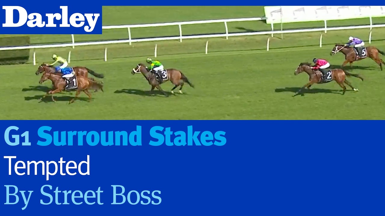 Лошадь Tempted by Street Boss одержала победу в скачках G1 Surround Stakes в Рэндвике.