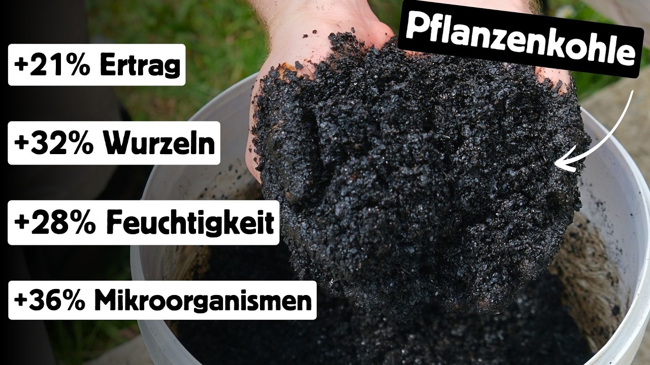 So wird dein Boden wieder richtig FRUCHTBAR (mit Pflanzenkohle) 👨🏻‍🌾