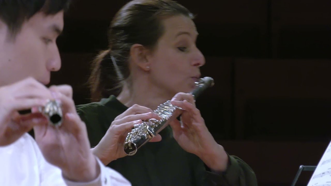 Bach: Violin Concerto A minor (arr. for flute quartet) &middot; Karajan-Academy