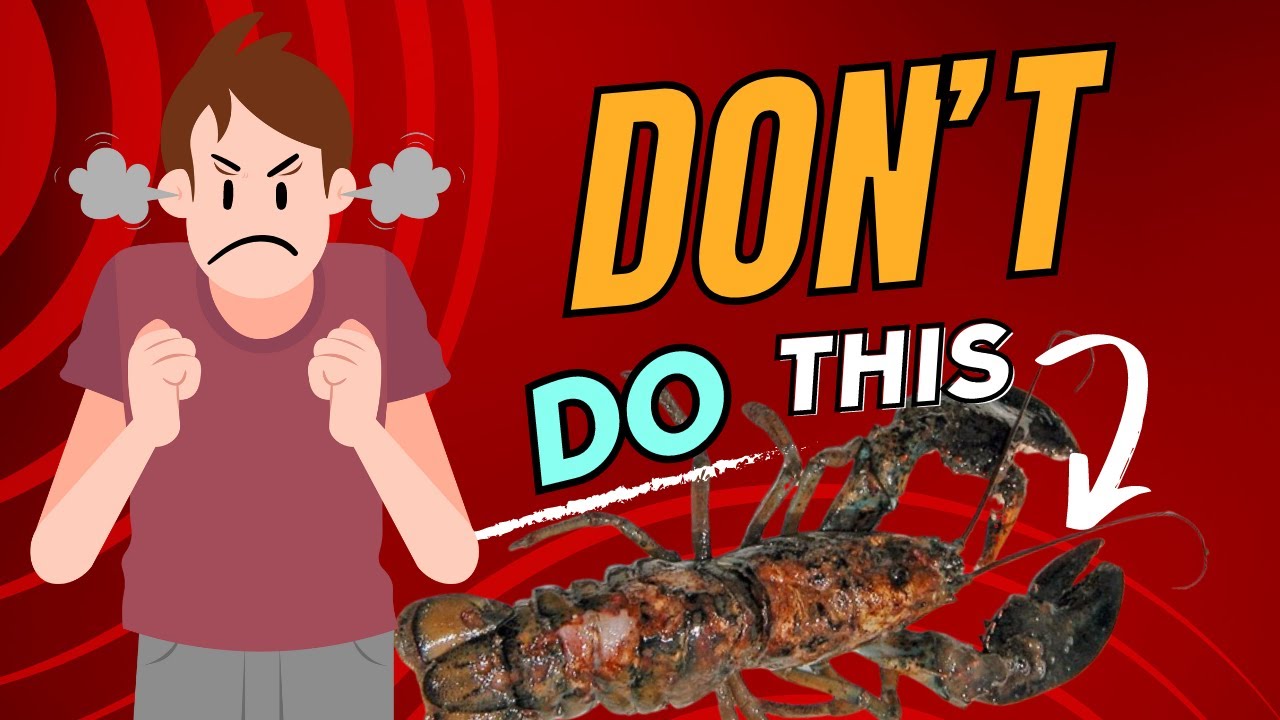 Save Your Crayfish! Essential Disease Prevention and Management Tips