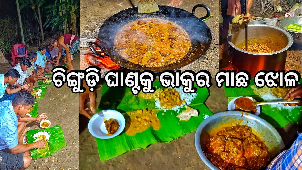 ରାତିରେ ହେଲା ଗାଁ feast ଚିଙ୍ଗୁଡି ଘାଣ୍ଟକୁ ଭାକୁର ମାଛ ଝୋଳ 😋 l Chingudi Ghanta & Bhakura Machha Jhola