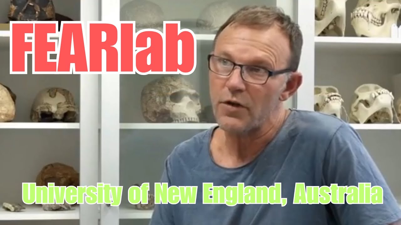 What we do in the FEARlab @RealPaleontology