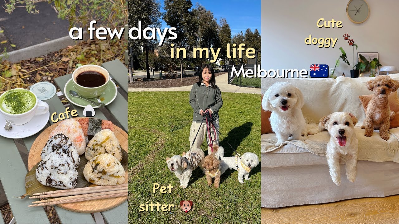 A Few Days in My Life in Melbourne 🇦🇺 | Pet Sitting 3 dogs 🐶, Cafe & a New Mattress! ✨