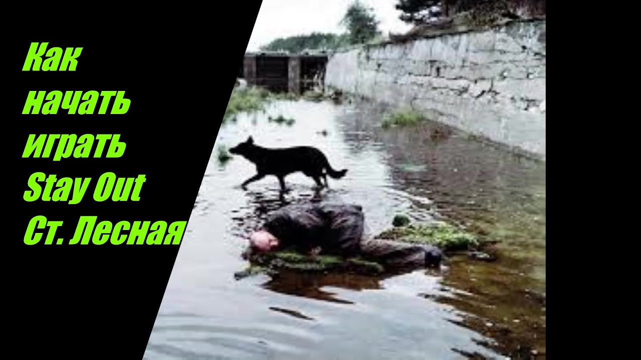 1 Stay Out Рождение Сталкера Ст Лесная №1