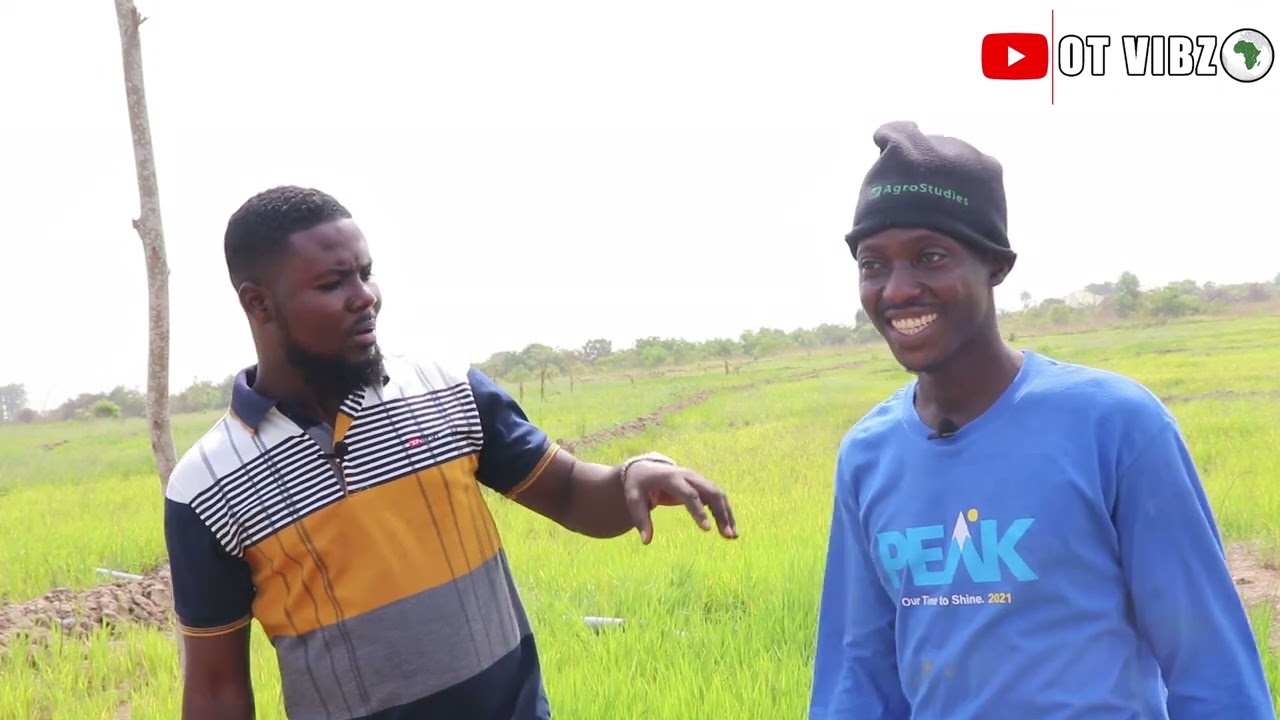 How I left Isreal to become one of Ghana's biggest rice farm producers in Africa