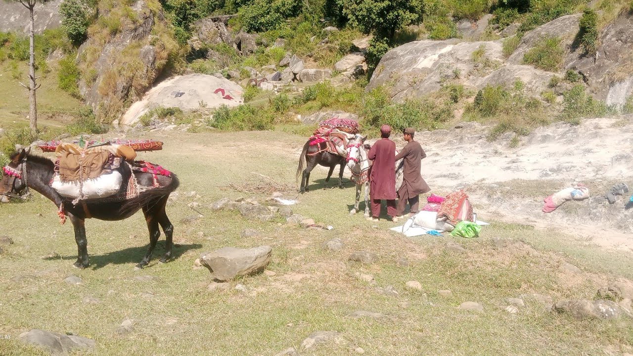 خانہ بدوشوں کی ہجرت آسان نہیں