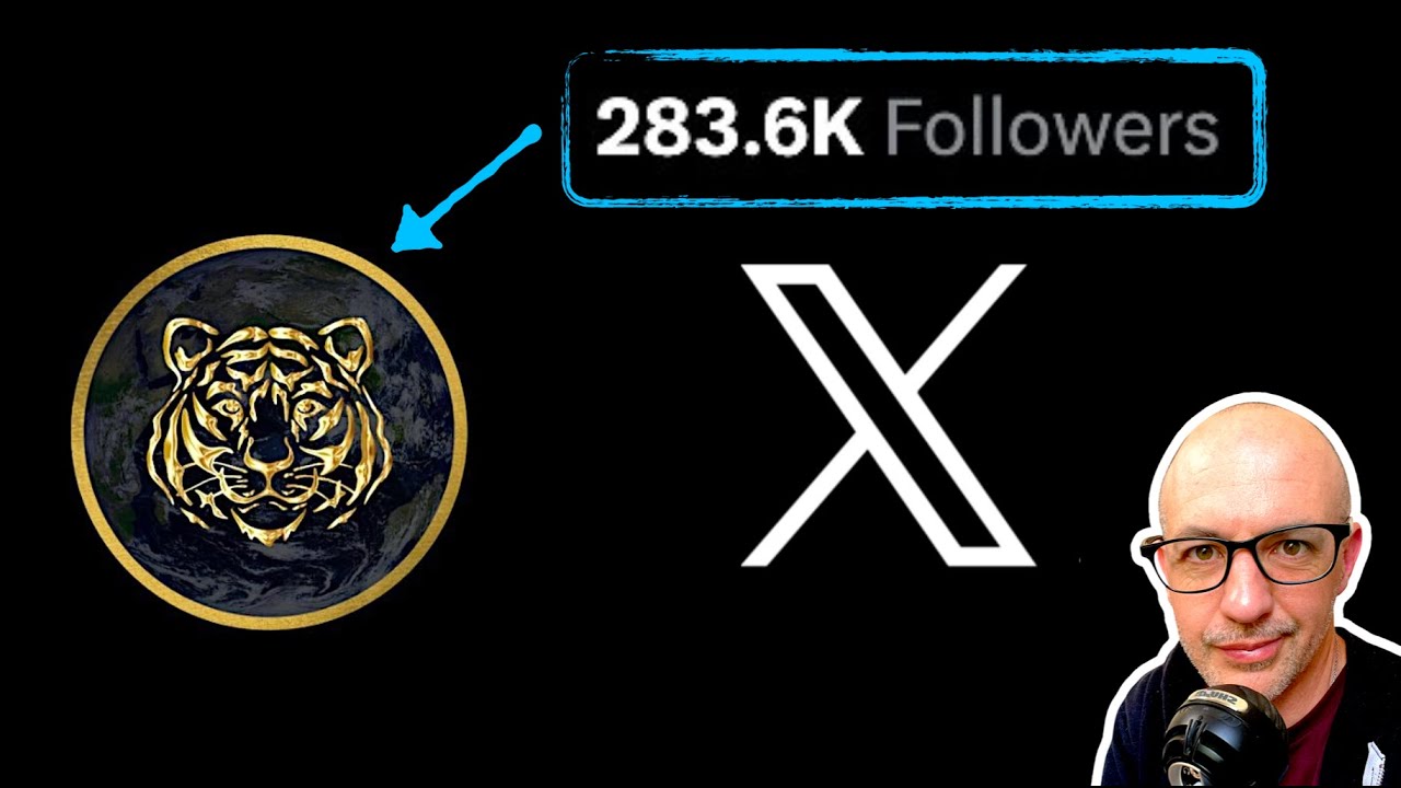 De 0 a 280.000 seguidores en X en 6 meses (La historia de @honordetigre)