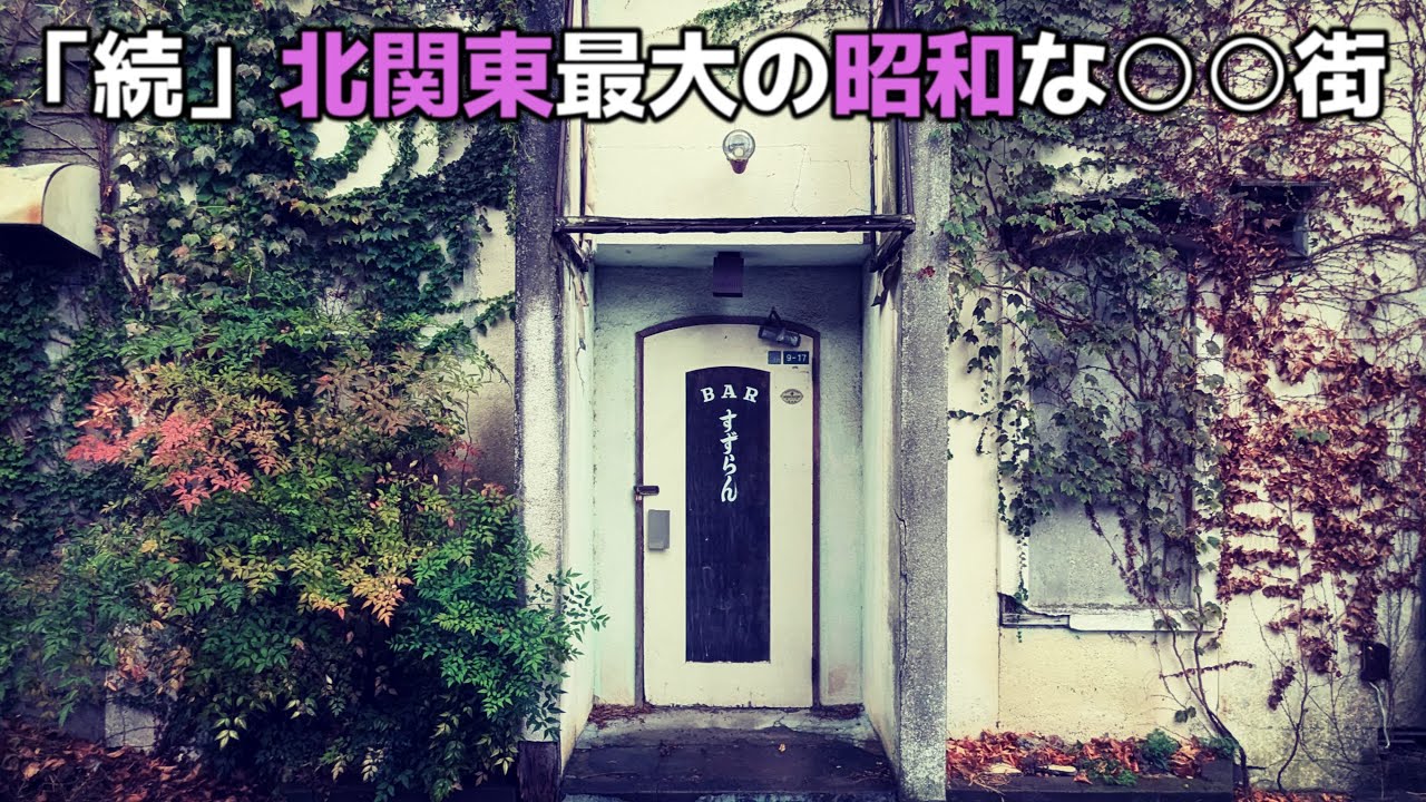 「ヤバっ」北関東最大の○○街が昭和の残滓だらけの件