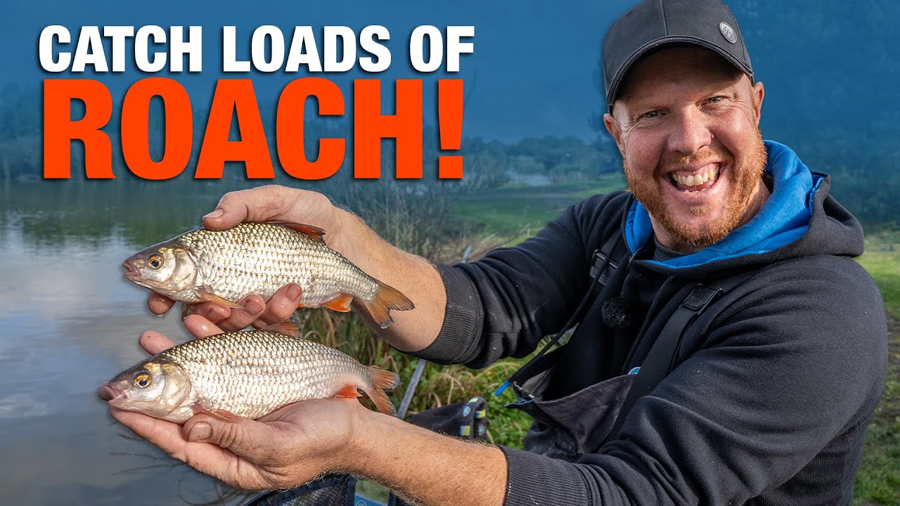 Поймайте МНОГО плотвы и серебристых тунцов с помощью кастеров! | Энди Мэй