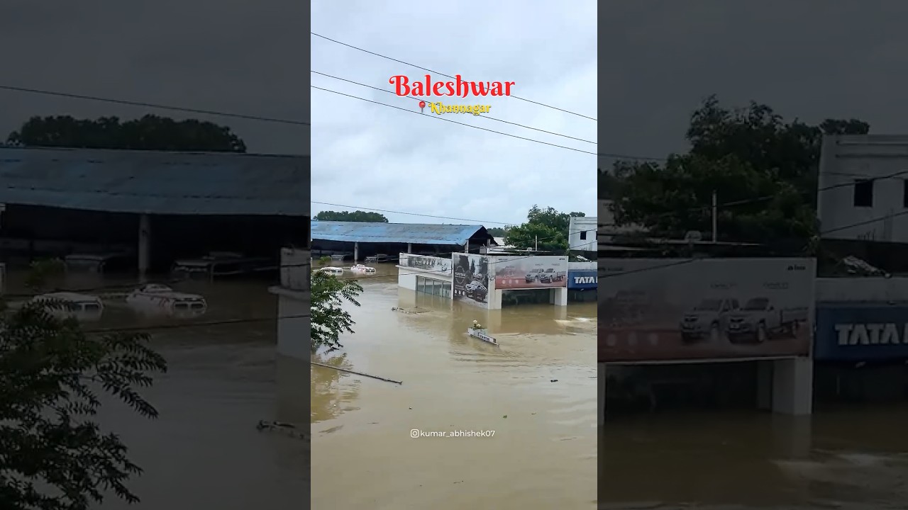 Baleshwar in flood Alert🚨#balasore #flood #odisha #naturaldisaster