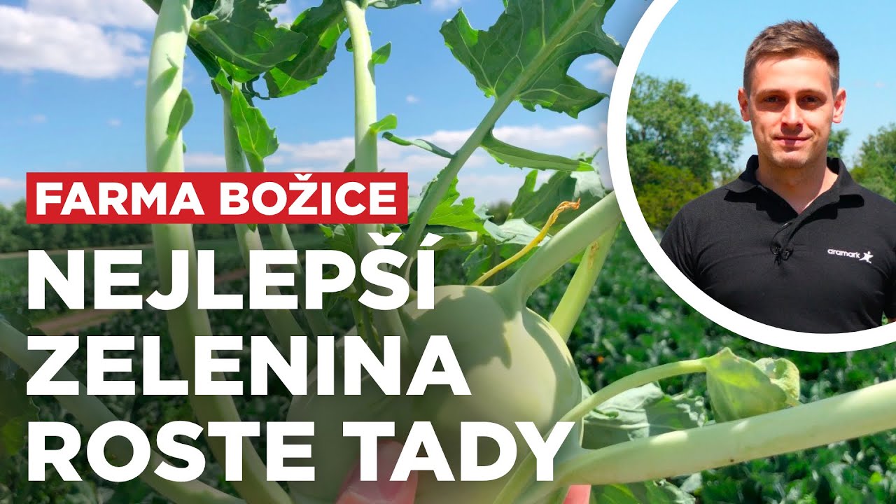 Návštěva Farmy Božice. Tady pěstují tu nejlepší zeleninu!