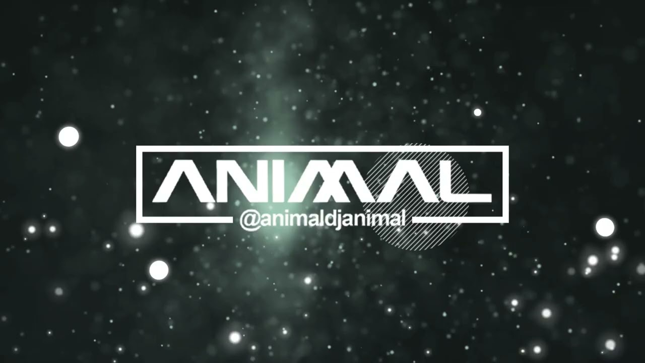 SOPETEO 3   DJ ANIMAL