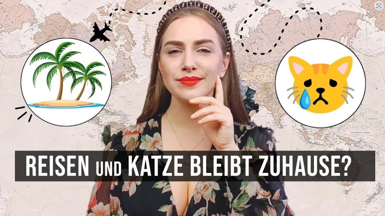 Urlaub im Sommer und die Katze bleibt Zuhause - Beachte diese 5x Tipps
