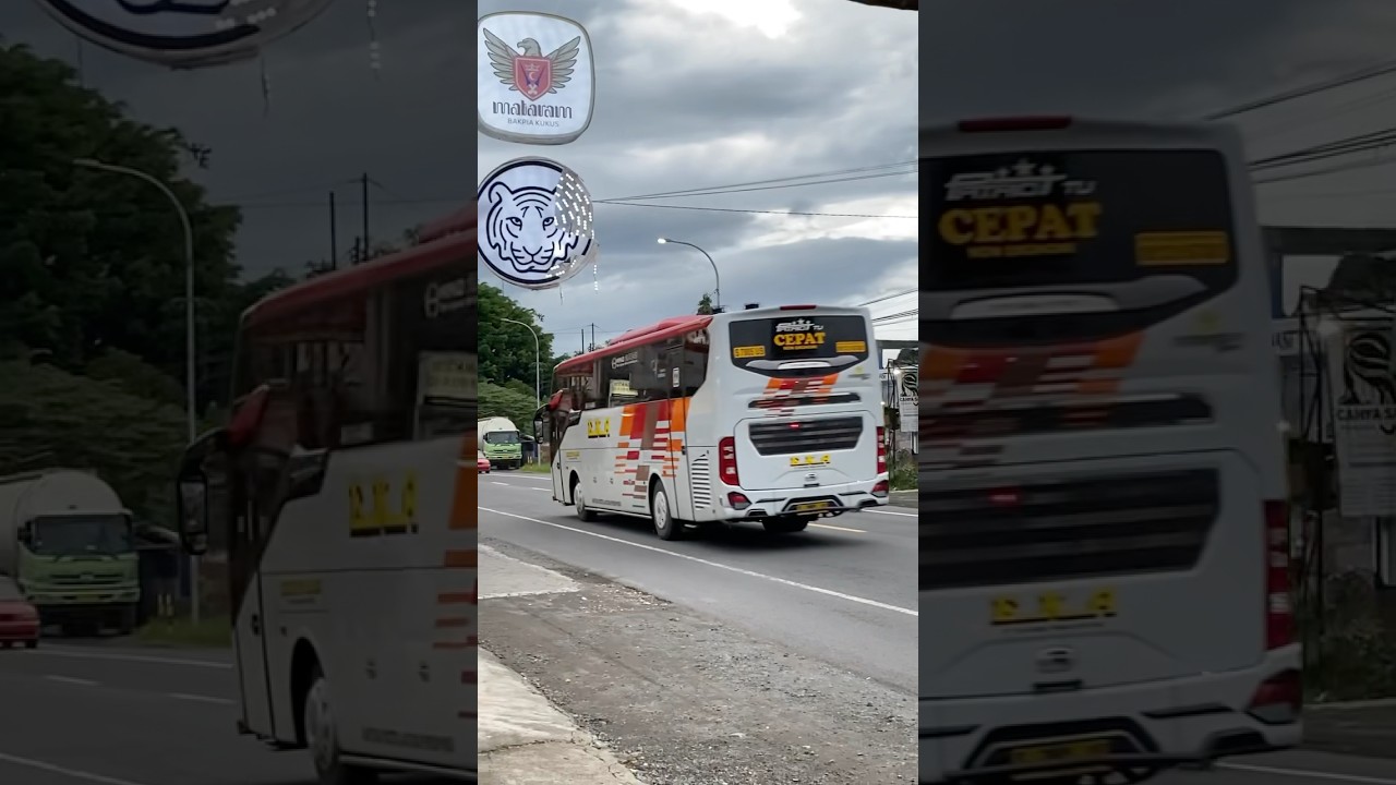 Hino engine bus: Eka Bus