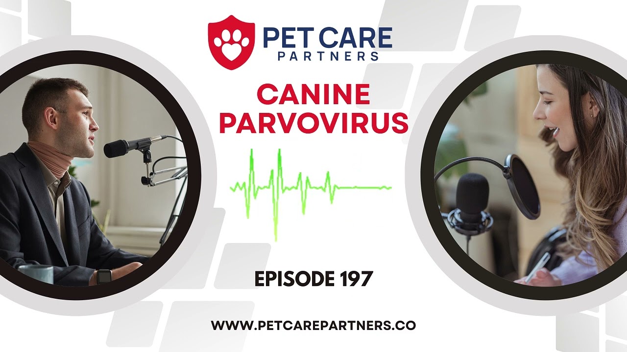 EP 197: Парвовирус собак: диагностика, лечение и тактика ведения | Подкаст Pet Care Partners
