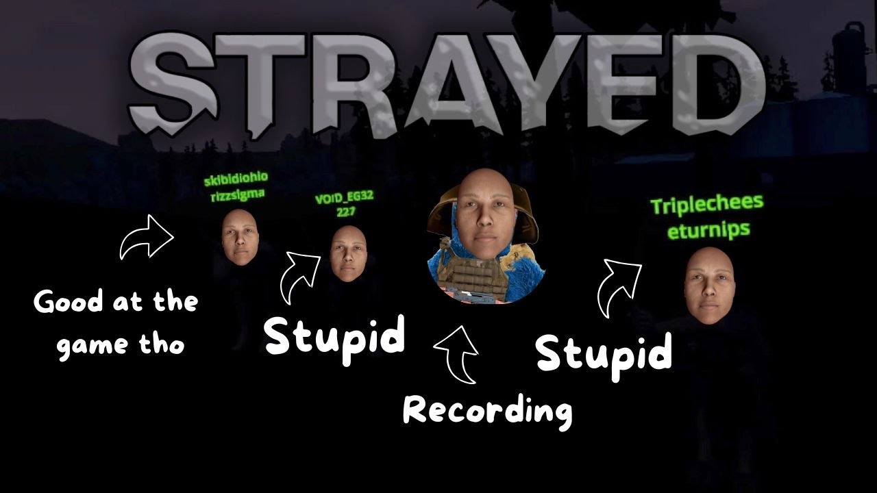 Playing with our clan in Strayed Vr (kinda)