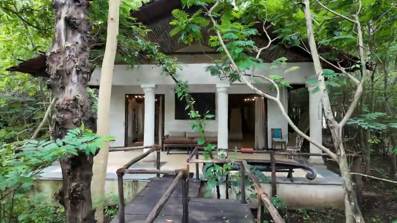 Taj Baghvan Pench Taj Safari: A Luxurious Jungle Retreat | Full Property Tour & Wildlife Experience