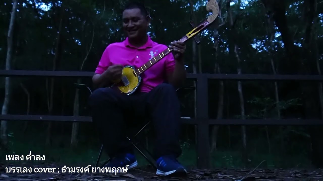 ค่ำลง - คาราวาน (พิณบรรเลง)